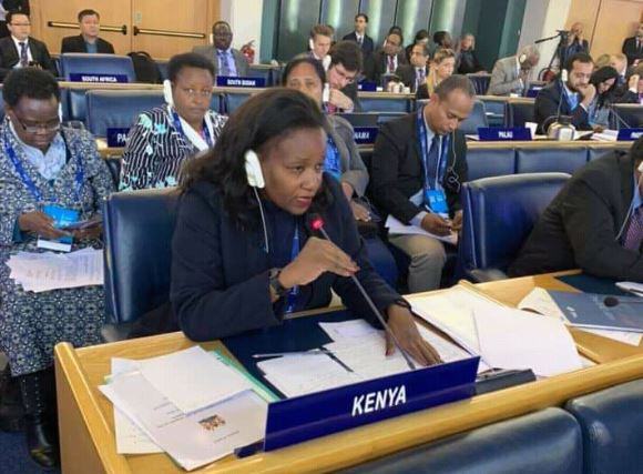 Kenya to invest more in agriculture