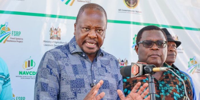 Kenya to Reject Externally Designed Agricultural Projects, Kagwe Warns Donors