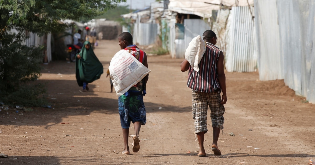 Refugees in Kenya Gain Employment Rights as New Law Takes Effect