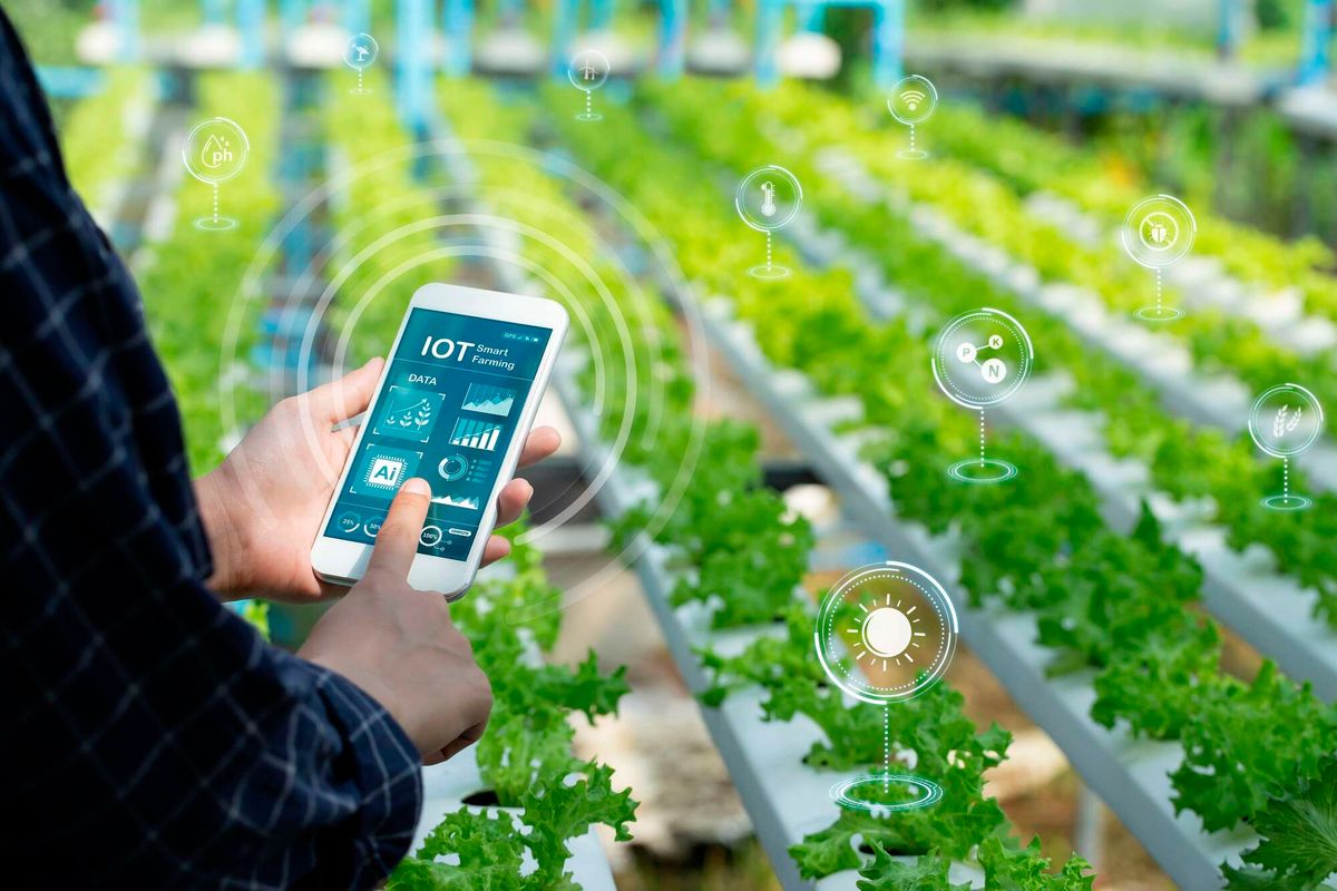 Unlocking innovation: Kenya seeks to open agricultural data to private tech developers