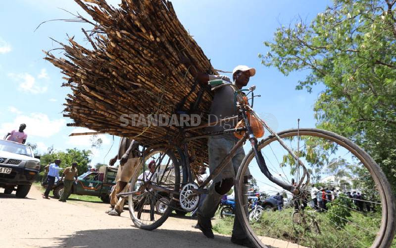 Concern as sugar companies miss Nyanza ASK Show