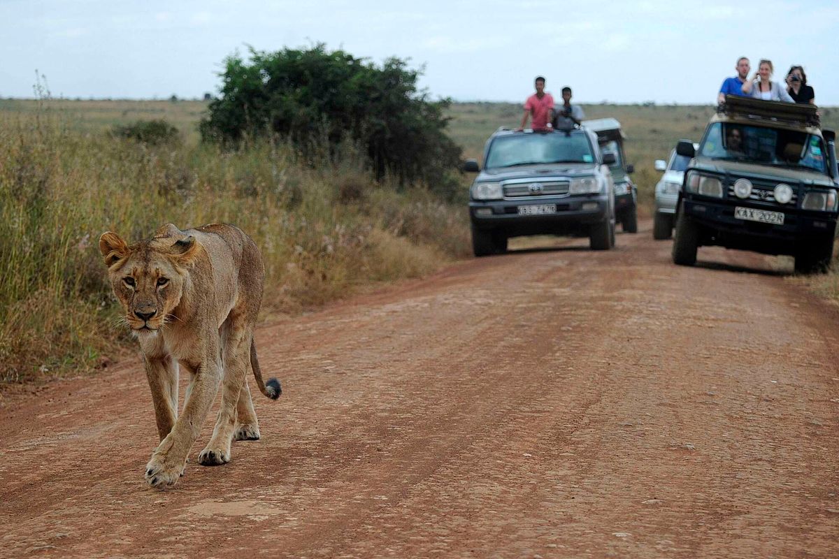 Uber in Kenya&rsquo;s Safari Industry: Progress or Pitfall?